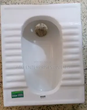 Squatting Toilet Complete