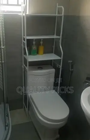 Metallic Toilet Holder