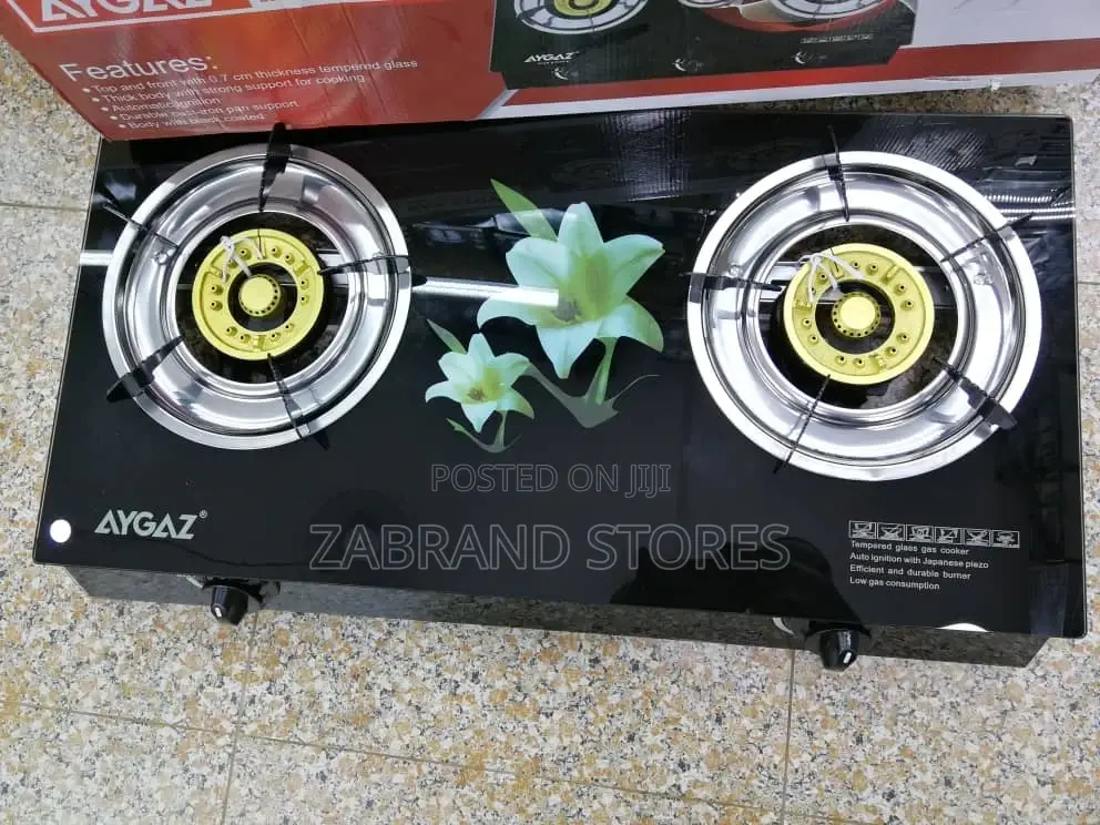 2in1 Gas Cooker Stove