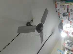Ceiling Fan With 3 Blades