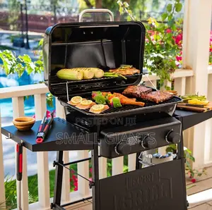 3 Burner Expert Gas BBQ Grill