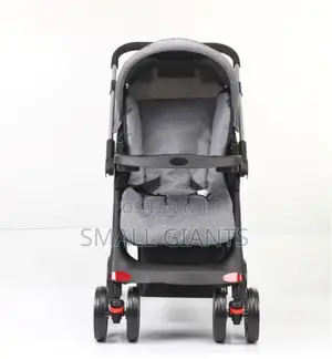 New 2 in 1 Baby Stroller