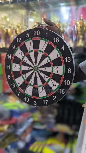 Professional Dart Board Game Big Size