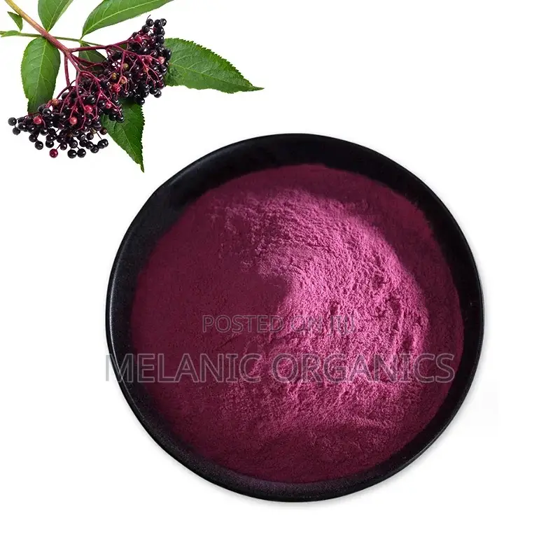 Elderberry Extract 100gm