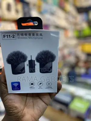 F11-2 Wireless Microphone