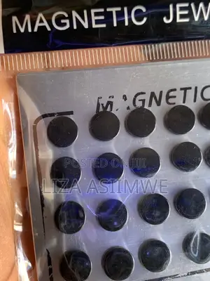 Black Magnetic Earpins