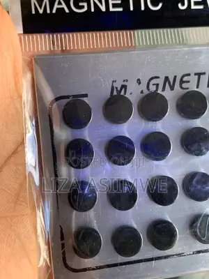 Black Magnetic Earpins