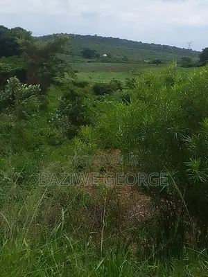 250 Acreas Close to Airport Hoima Buseruka