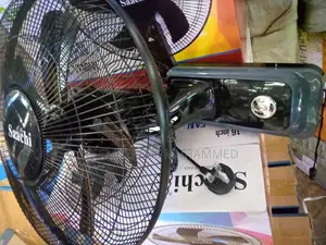 Saachi Fan