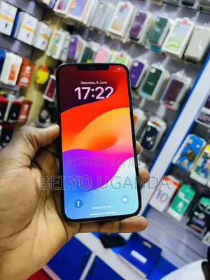 Apple iPhone 12 Pro Max 128 GB Gray