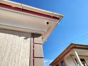 Bullet Audio Cameras