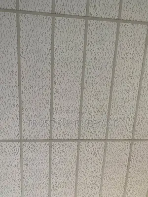 Suspended Ceiling Acoustic Type