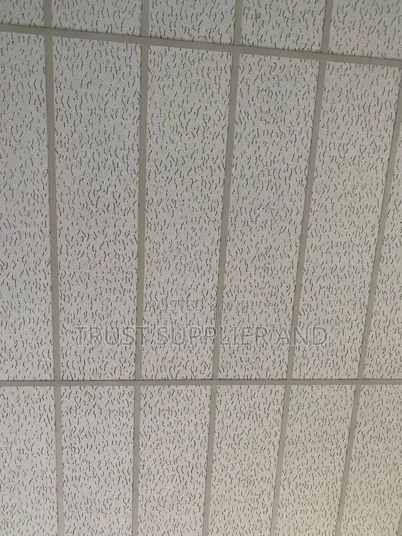 Suspended Ceiling Acoustic Type