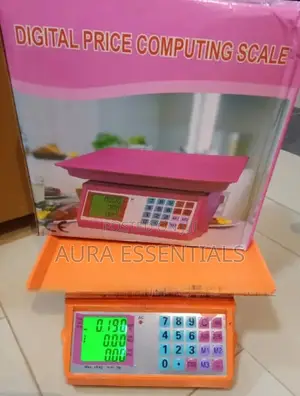 Electronic Price Computing Weighing Scale 40kg Maximum