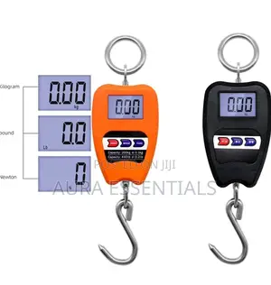 100kg Mini Crane Scale