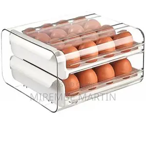 Double Layer Egg Storage Container.