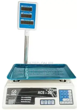 ACS-30 Commercial Electronic Price Computing Weighing Scale