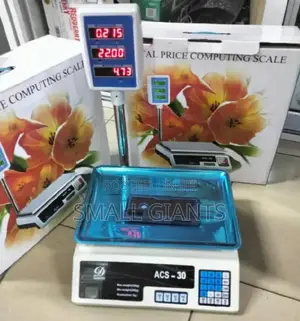 ACS-30 Commercial Electronic Price Computing Weighing Scale