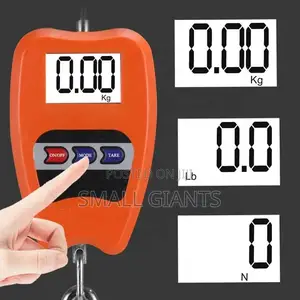 100kg Mini Crane Scale