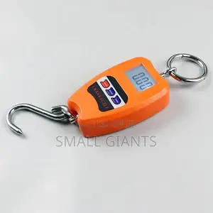 100kg Mini Crane Scale