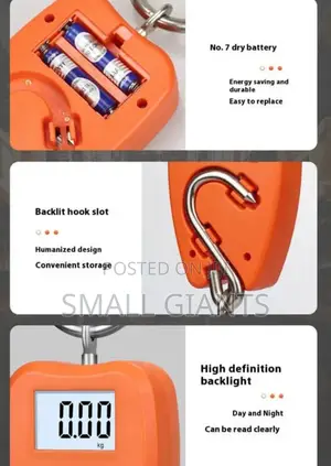 100kg Mini Crane Scale