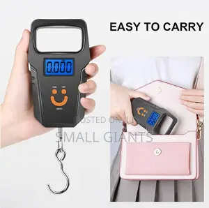 Electronic Backlight Hanging Weighing Scale