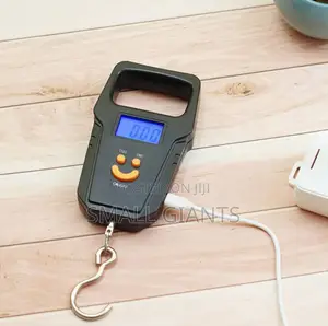 Electronic Backlight Hanging Weighing Scale