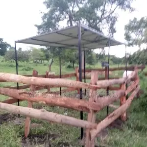 Solar Pump System for Animal Farm