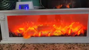Led Fire Place With Real Fire Experience.