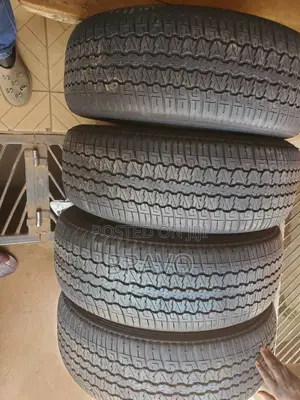 265/55r19 Dunlop for Land Cruiser.