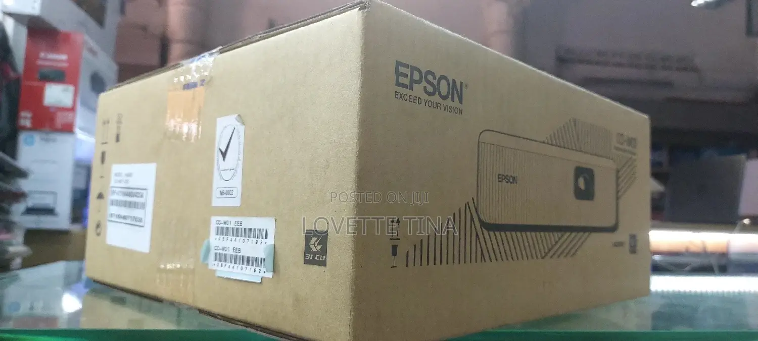 Epson Projector Co-W01