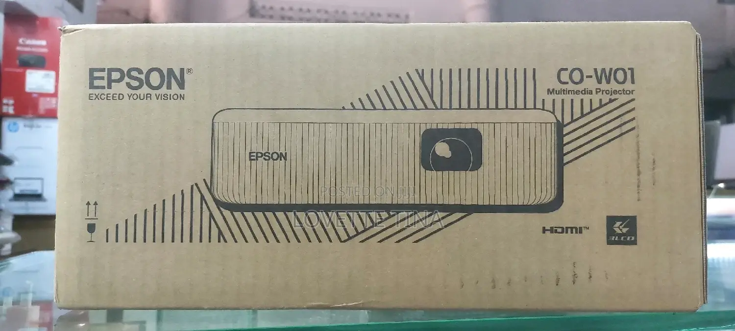 Epson Projector Co-W01
