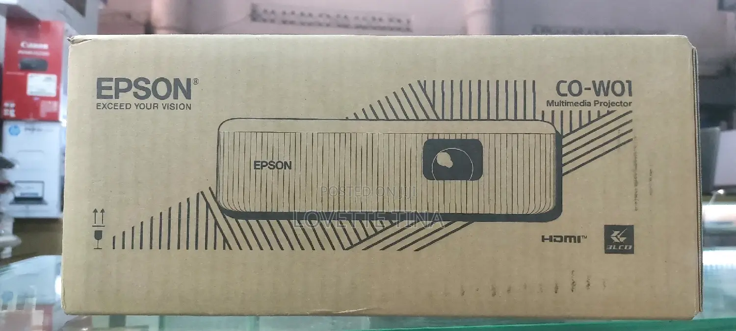 Epson Projector Co-W01