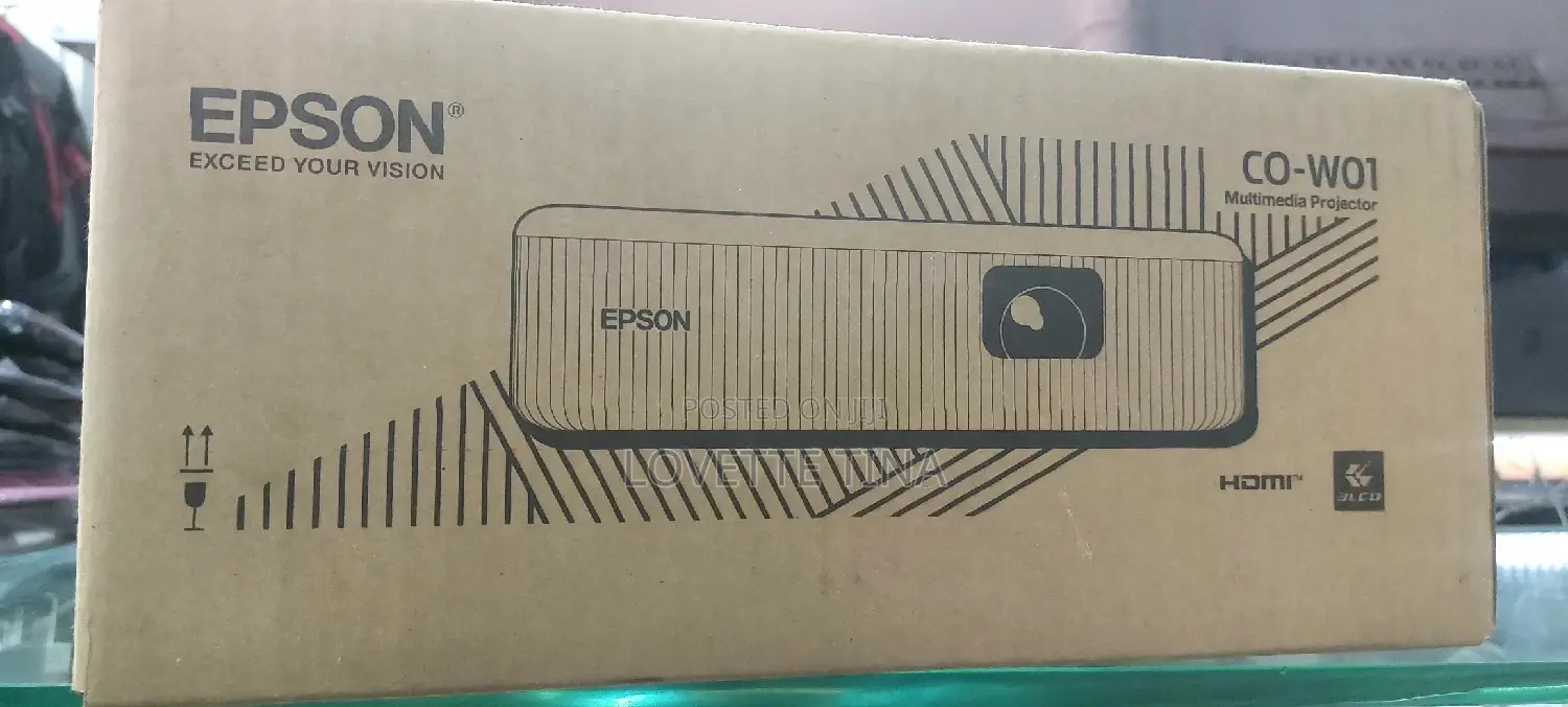 Epson Projector Co-W01