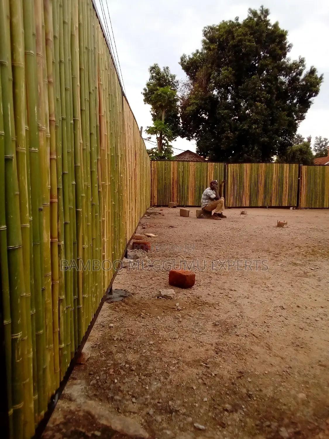 Bamboo Poles, Amabanda, Emigemo