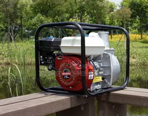 Surface Water Pump 2”