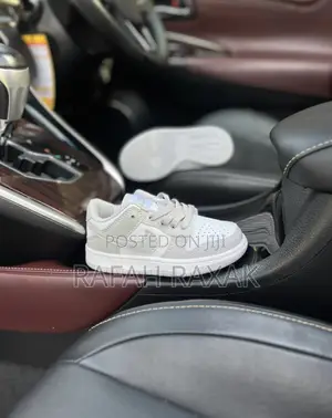 Original Kid’S Nike Sb Dunk Low Grey White Sneakers