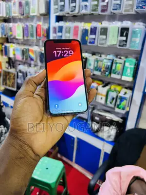 Apple iPhone 12 Pro 256 GB Gray