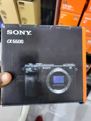 SONY Alpha 6600 Camera Body Only