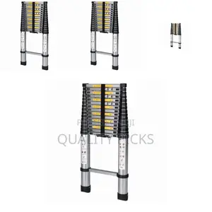 Brand Adjustable Ladder