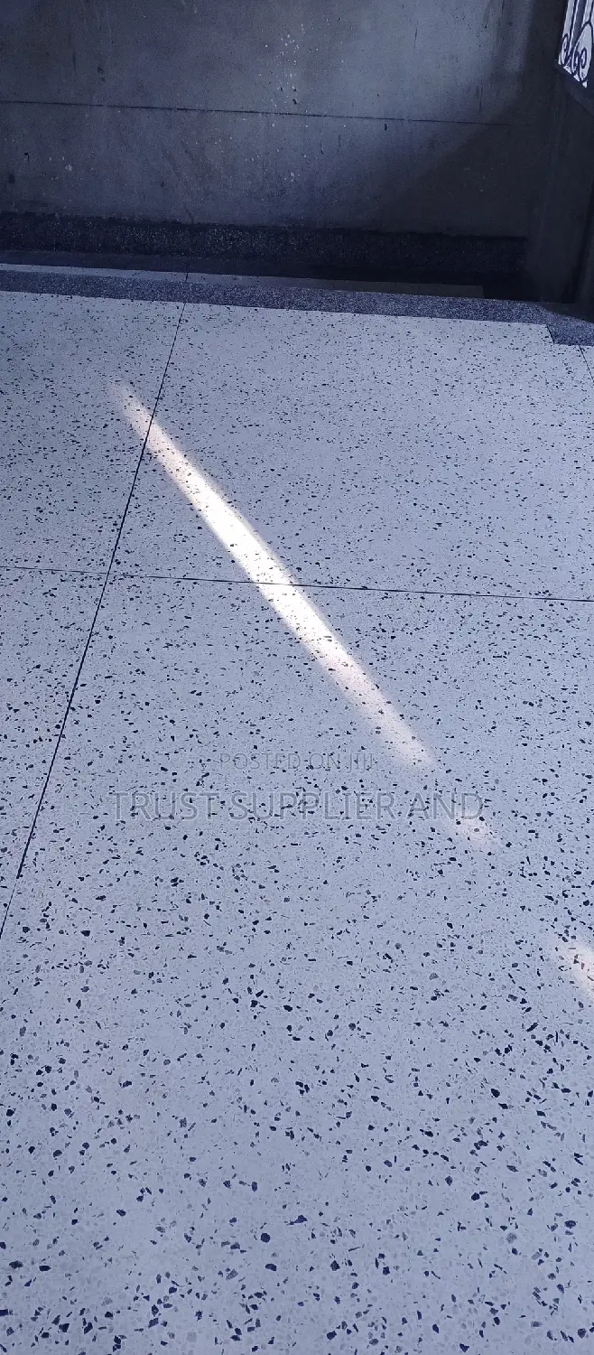 Terrazzo Work Finished Product