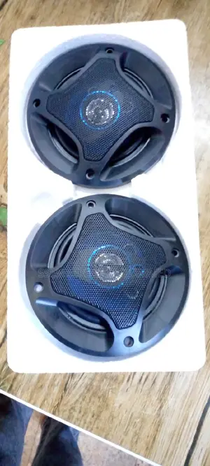 Car Speaker Tp_ 1071 300 Wax