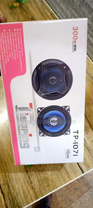 Car Speaker Tp_ 1071 300 Wax