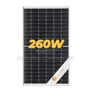 260w Mono Crystalline Solar Panel at Goodwill