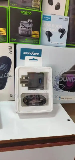 Galaxy Samsung Type C Charger