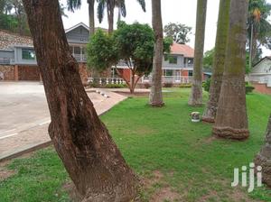 Office Block In Kololo For Rent