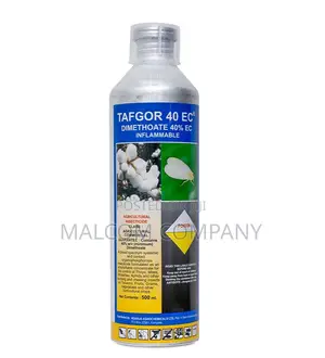 Tafgor for Beanfly, Thrips, Bollworm, Mites, Whitefly, Aphid
