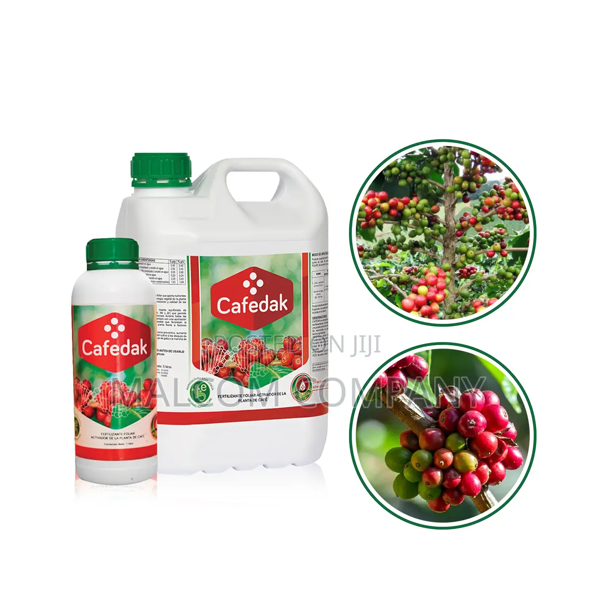 Cafedak Coffe Fertilizers and Disease Control