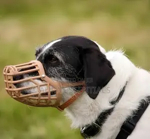 Dog Muzzle Dog Basket Mouth Muzzle