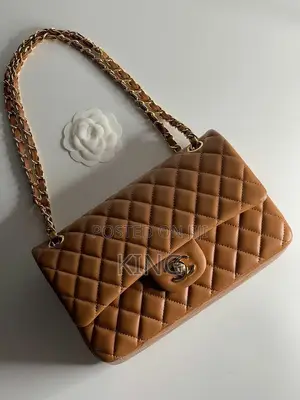 Chanel Branded Handbag